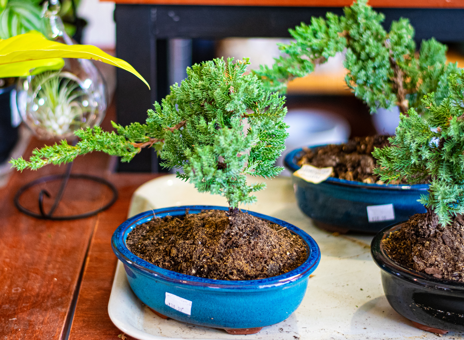 mpad2001-photoproject-yusraghani-10