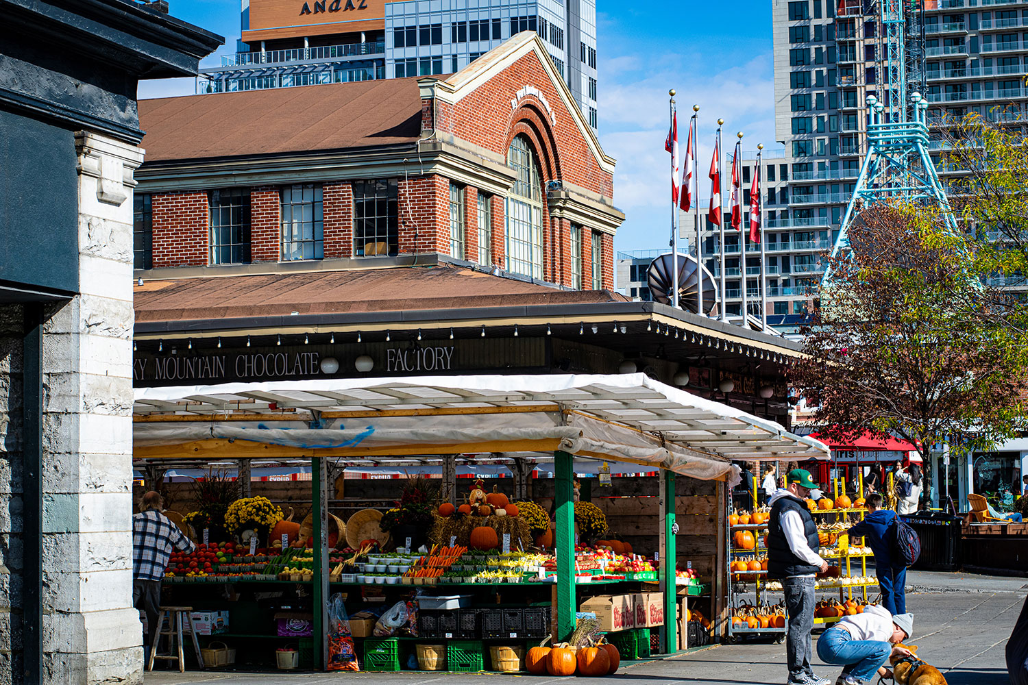 mpad2001-photoproject-yusraghani-2