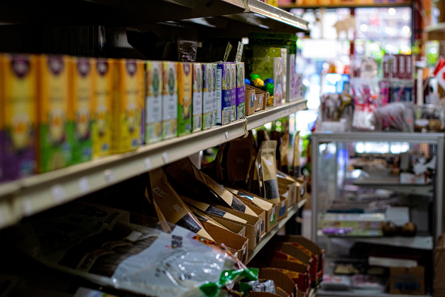 mpad2001-photoproject-yusraghani-6